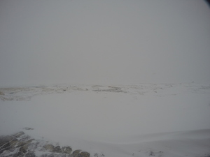 Photograph of Pinchard's Island, Newfoundland — February 27, 2018 at 4:28 PM