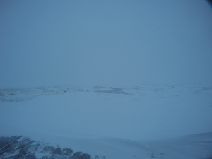 Photograph of Pinchard's Island, Newfoundland — February 27, 2018 at 5:28 PM