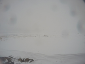 Photograph of Pinchard's Island, Newfoundland — February 28, 2018 at 11:28 AM