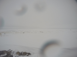 Photograph of Pinchard's Island, Newfoundland — February 28, 2018 at 12:28 PM