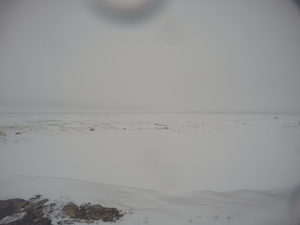 Photograph of Pinchard's Island, Newfoundland — February 28, 2018 at 1:28 PM