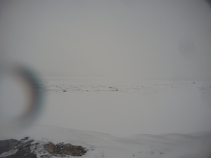 Photograph of Pinchard's Island, Newfoundland — February 28, 2018 at 2:28 PM