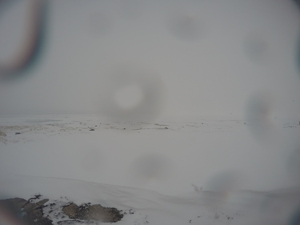 Photograph of Pinchard's Island, Newfoundland — February 28, 2018 at 3:28 PM