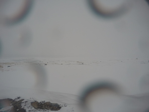 Photograph of Pinchard's Island, Newfoundland — February 28, 2018 at 4:28 PM