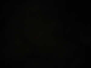 Photograph of Pinchard's Island, Newfoundland — February 28, 2018 at 8:28 PM