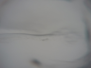 Photograph of Pinchard's Island, Newfoundland — March 1, 2018 at 11:28 AM