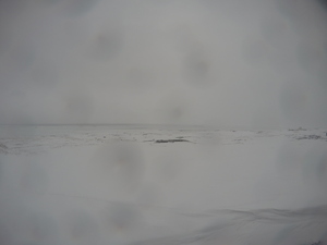 Photograph of Pinchard's Island, Newfoundland — March 1, 2018 at 1:28 PM