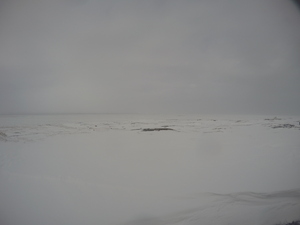 Photograph of Pinchard's Island, Newfoundland — March 1, 2018 at 2:28 PM