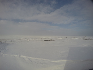 Photograph of Pinchard's Island, Newfoundland — March 1, 2018 at 3:28 PM