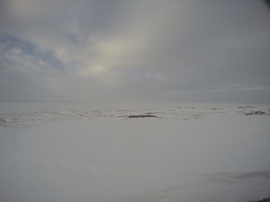 Photograph of Pinchard's Island, Newfoundland — March 1, 2018 at 4:28 PM