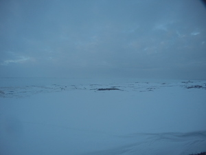 Photograph of Pinchard's Island, Newfoundland — March 1, 2018 at 5:28 PM